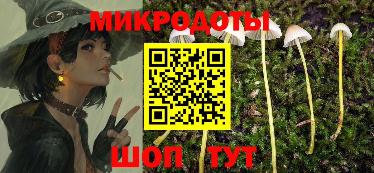 Псилоцибиновые грибы Psilocybine cubensis  Вход с VPN  Старая Купавна 